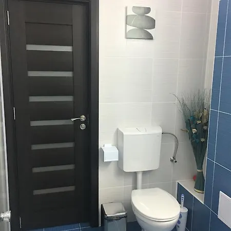 Vlaicu Constanta