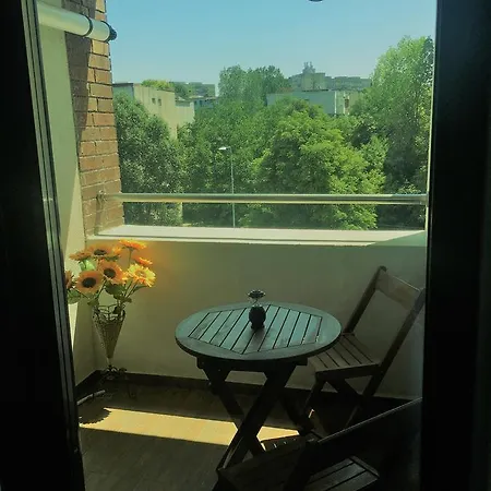 Apartment Vlaicu