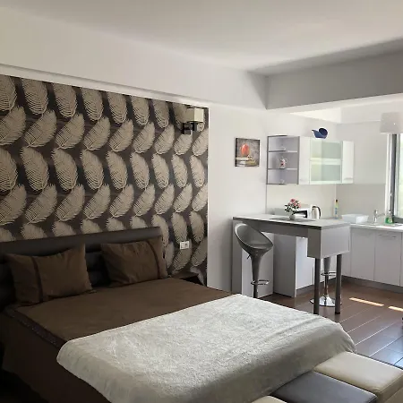 Vlaicu Appartement Constanţa