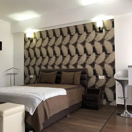 Vlaicu Apartment *