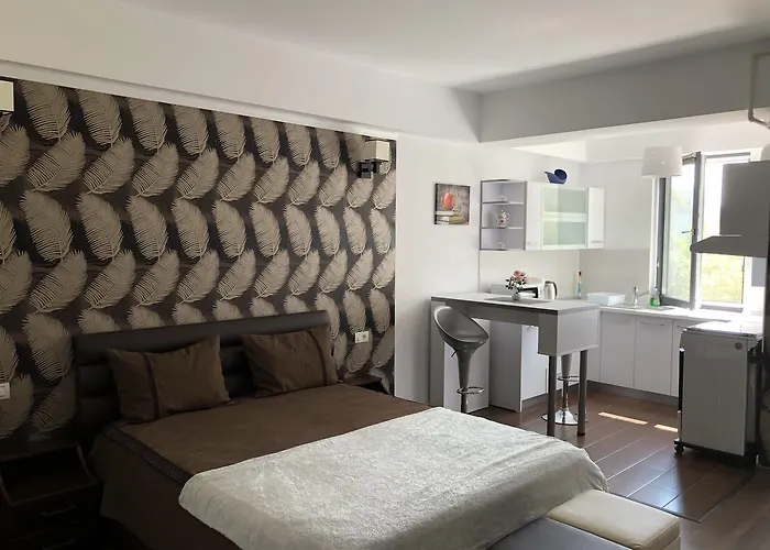 Vlaicu Apartamento Constanţa