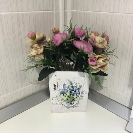 公寓 Vlaicu 康斯坦察