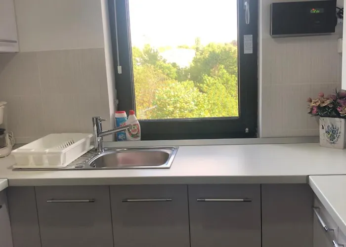 Vlaicu コンスタンツァ